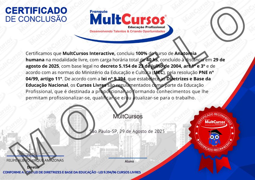 Imagem do Certificado